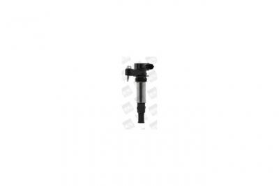 Bobine d'allumage BorgWarner (BERU) ZSE174 (X1)