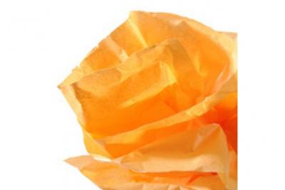 CANSON Papier de soie, 0,5 x 5,0 m, 20 g/m2, vert