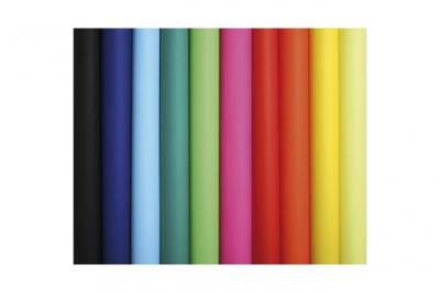 Rouleau de 10 feuilles affiche couleur 75g 60x80 cm couleurs assorties Ecole