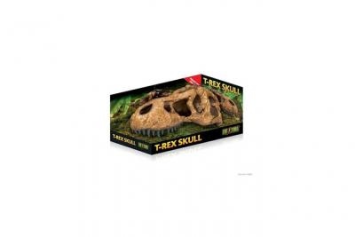 Exo Terra Grotte T-Rex Skull Exo Terra