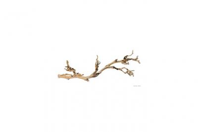 Exoterra branche de vigne sable pour Reptiles Grand