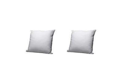 Lot de 2 oreillers &eacute;co naturels moelleux enveloppe coton bio Someo 60x60 