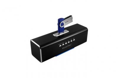 Enceinte portable MUSICMAN MA SOUNDSTATION avec grille de protection - Noir 