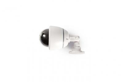 Nedis DUMCD50WT cam&eacute;ra de surveillance factice Dome Blanc
