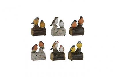 Oiseaux siffleurs sur branche - couleurs assorties