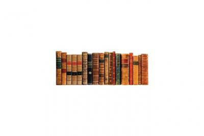 Plage sticker tete de lit adh&eacute;sive - livres anciens63 x 160cm