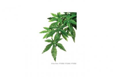 Exoterra Plante de D&eacute;coration pour Reptile Abutilon