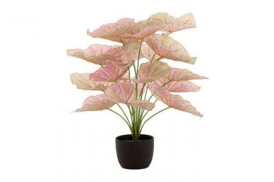 Plante Artificielle en Pot Caladium 57cm Rose Clair 