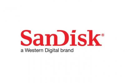 Sandisk 00173462 Carte m&eacute;moire Micro SDHC 32 Go