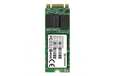Transcend MTS600 - SSD - 256 Go - interne - M.2 2260 - SATA 6Gb/s