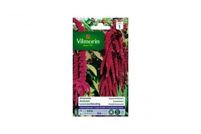 Vilmorin 5129841 Amarante Queue de Renard, Violet, 90 x 2 x 160 cm