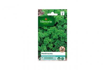 VILMORIN Persil frise Alto Cr&eacute;ation Vilmorin