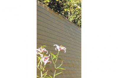 Windhager 05649 Brise Vue Sable Jaune 1,5 x 3 m 300 g/m&sup2;