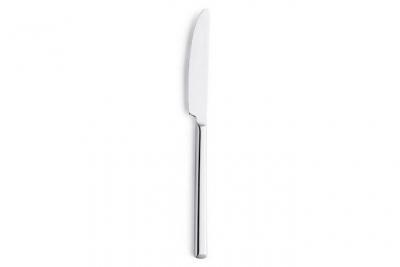 Ensemble de Couteaux Amefa Metropole M&eacute;tal 21 cm 12 Unit&eacute;s 