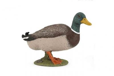 PAPO Figurine Canard colvert