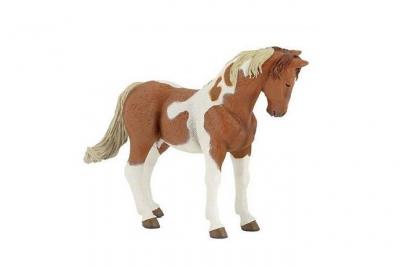 Chevaux, Poulains Et Poneys Jument Pinto