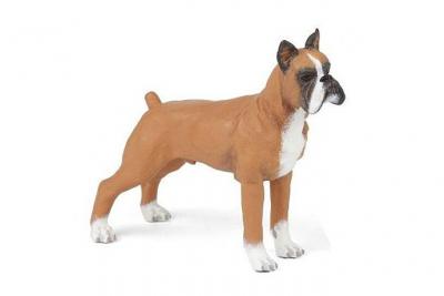 Chiens Et Chats De Collection Boxer