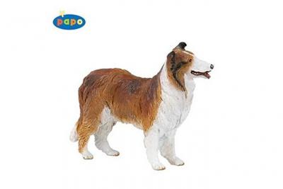 Chiens Et Chats De Collection Colley