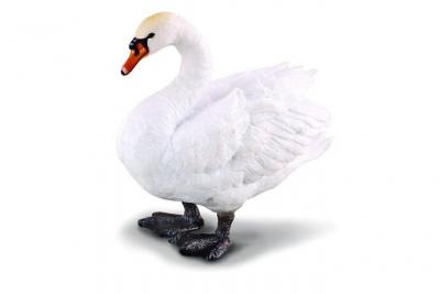 Collecta Swan Figure Blanc 3-6 Years