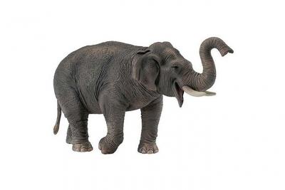 Collecta Asian Elephant Figure Gris 3-6 Years 