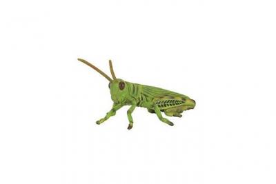 Figurines Collecta - Insecte - Sauterelle 