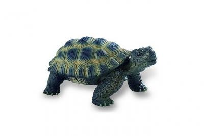 Bullyland - B63553 - Figurine Tortue De Terre - 13 cm