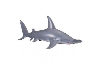 Collecta Hammerhead Shark Figure Bleu 3-6 Years