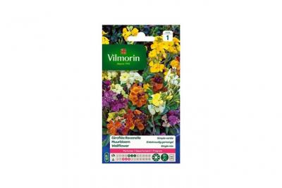 VILMORIN Girofl&eacute;e Ravenelle simple vari&eacute;e