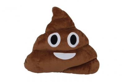 Ebiz Coussin en Forme d'&eacute;motic&ocirc;ne Caca Joyeux Oreiller crotte