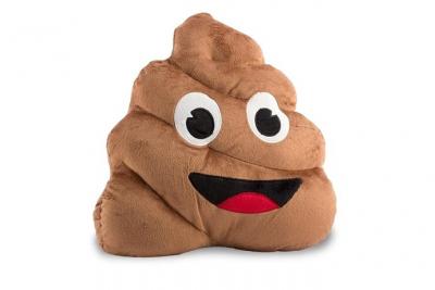 Coussin smiley crotte oreiller &eacute;moji petit caca