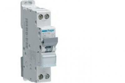 Hager - Disj.1P+N 6-10kA D-32A 1m - disjoncteurs ph+n NGT732