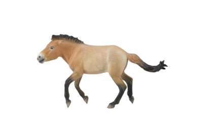 Figurine cheval : przewalski &eacute;talon figurines collecta