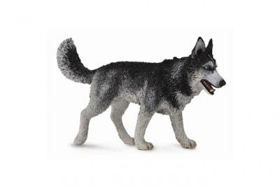 Collectionner une figurine Husky Sib&eacute;rienne pour chats et chats 