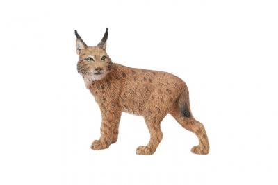 Collecta Lynx Figure Marron 3-6 Years