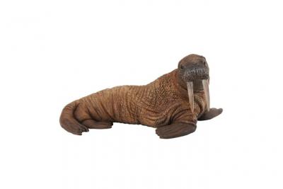 Figurine morse figurines collecta 