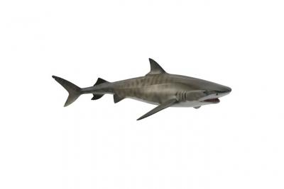 Figurine requin tigre figurines collecta 