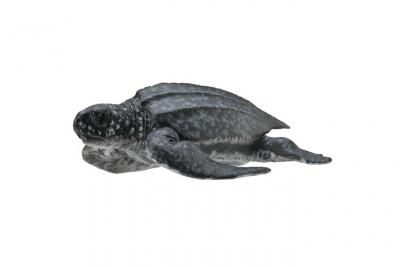 Figurine tortue luth figurines collecta 