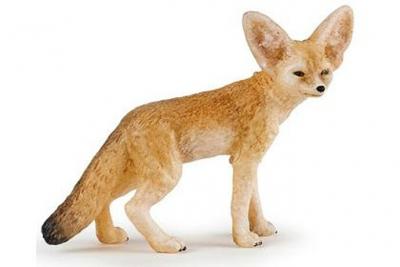 La Vie Sauvage Fennec
