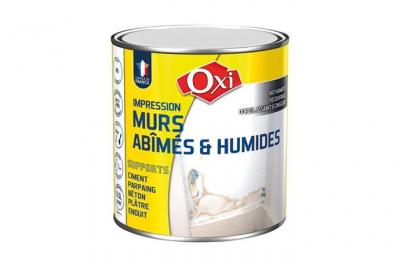 Peinture mur ab&icirc;m&eacute;s et humide mat 0.5 L - blanc