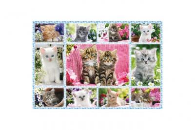 Puzzle 100 Pi&egrave;ces : Chatons, Schmidt Spiele