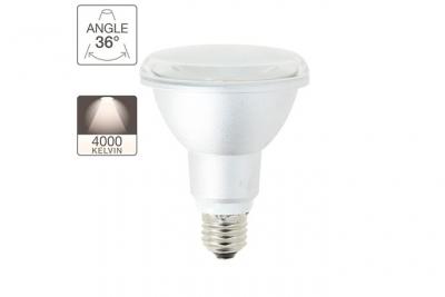 Ampoule LED PAR30 - cuLot E27 - classique 
