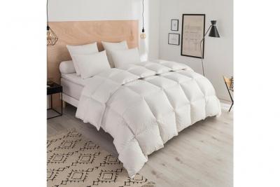 Dodo - Couette Thermoduv chaude - 90% Duvet d'Oie - 220/240 Blanc