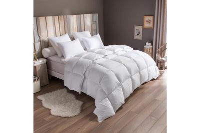 Dodo - Couette Tradition chaude - 70% Duvet d'Oie - 220/240 Blanc