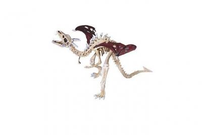 Figurine Plastoy : Le Dragon Squelette Rouge