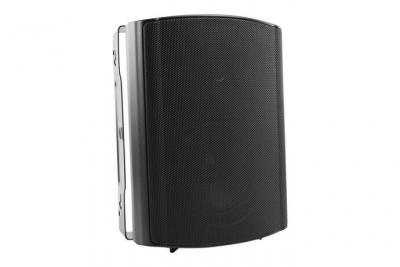 Visaton WB 13 100 V / 8 OHM - Haut-parleur - 50 Watt - 2 voies - noir