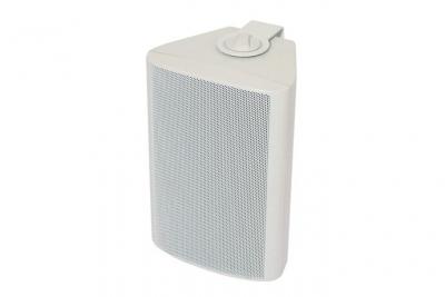 Visaton WB 10 100 V / 8 OHM - Enceinte compacte &agrave; 2 voies Blanc