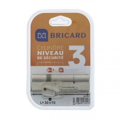 Bricard trials 17211 cylindre 30+70 mm double entree laiton nickele