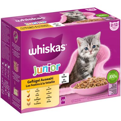 Whiskas Junior 48 x 85 g - s&eacute;lection de volaille en gel&eacute;e