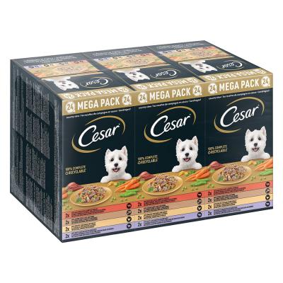 Lot Cesar 24 x 150 g pour chien - Les recettes de campagne