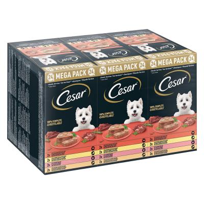 Lot Cesar 24 x 150 g pour chien - Les terrines classiques